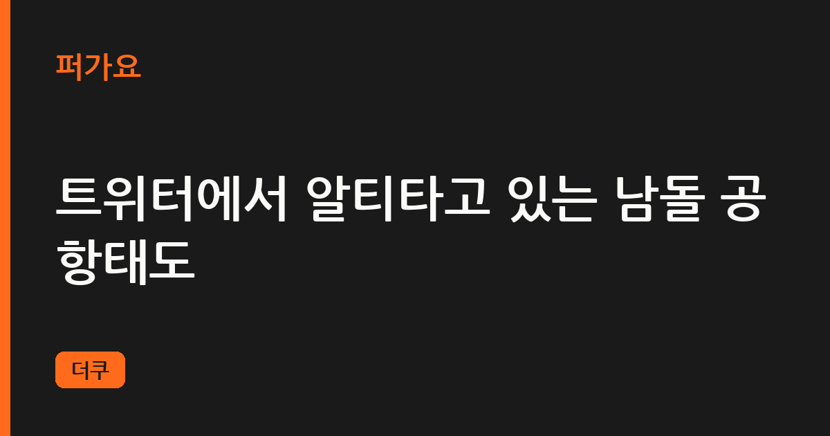 트위터에서 알티타고 있는 남돌 공항태도 삽화