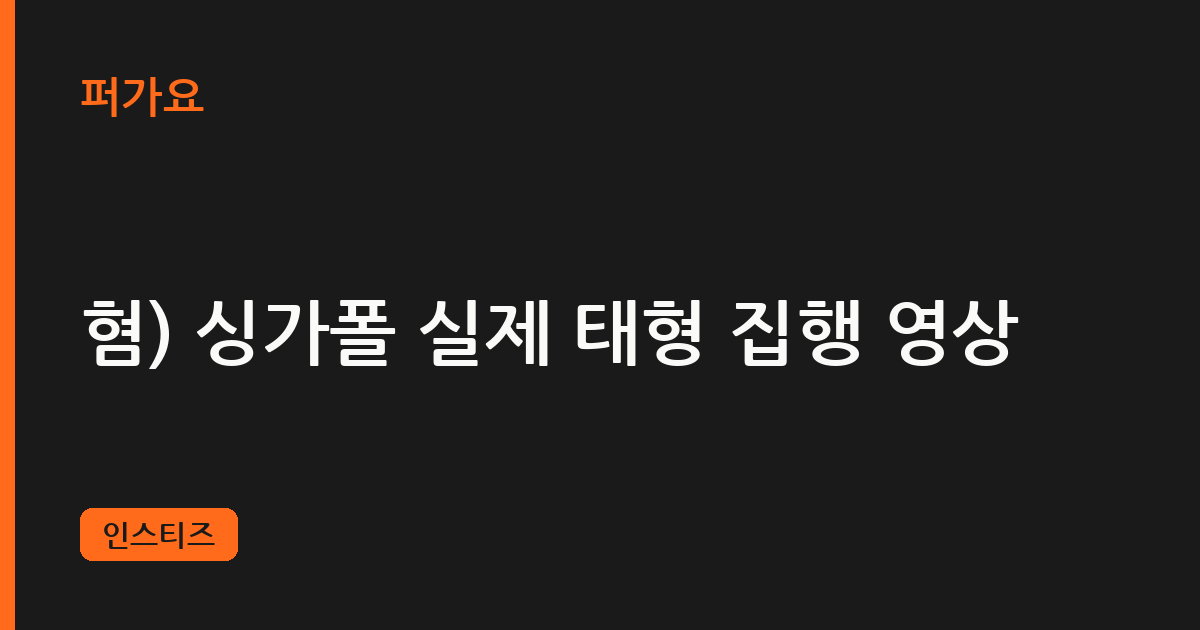 혐) 싱가폴 실제 태형 집행 영상 삽화